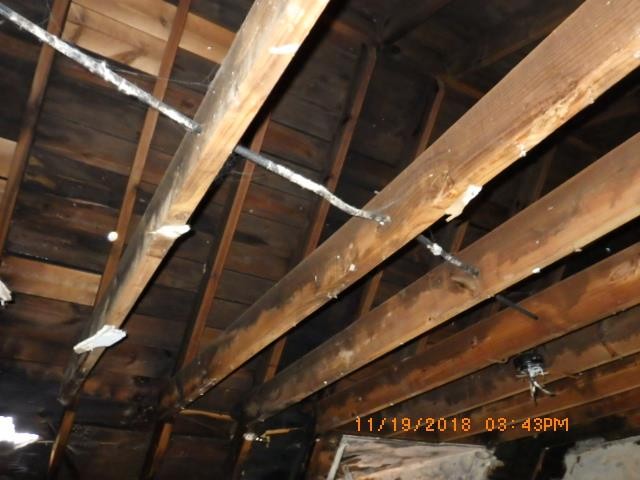 17176 Asbury Park attic.jpeg